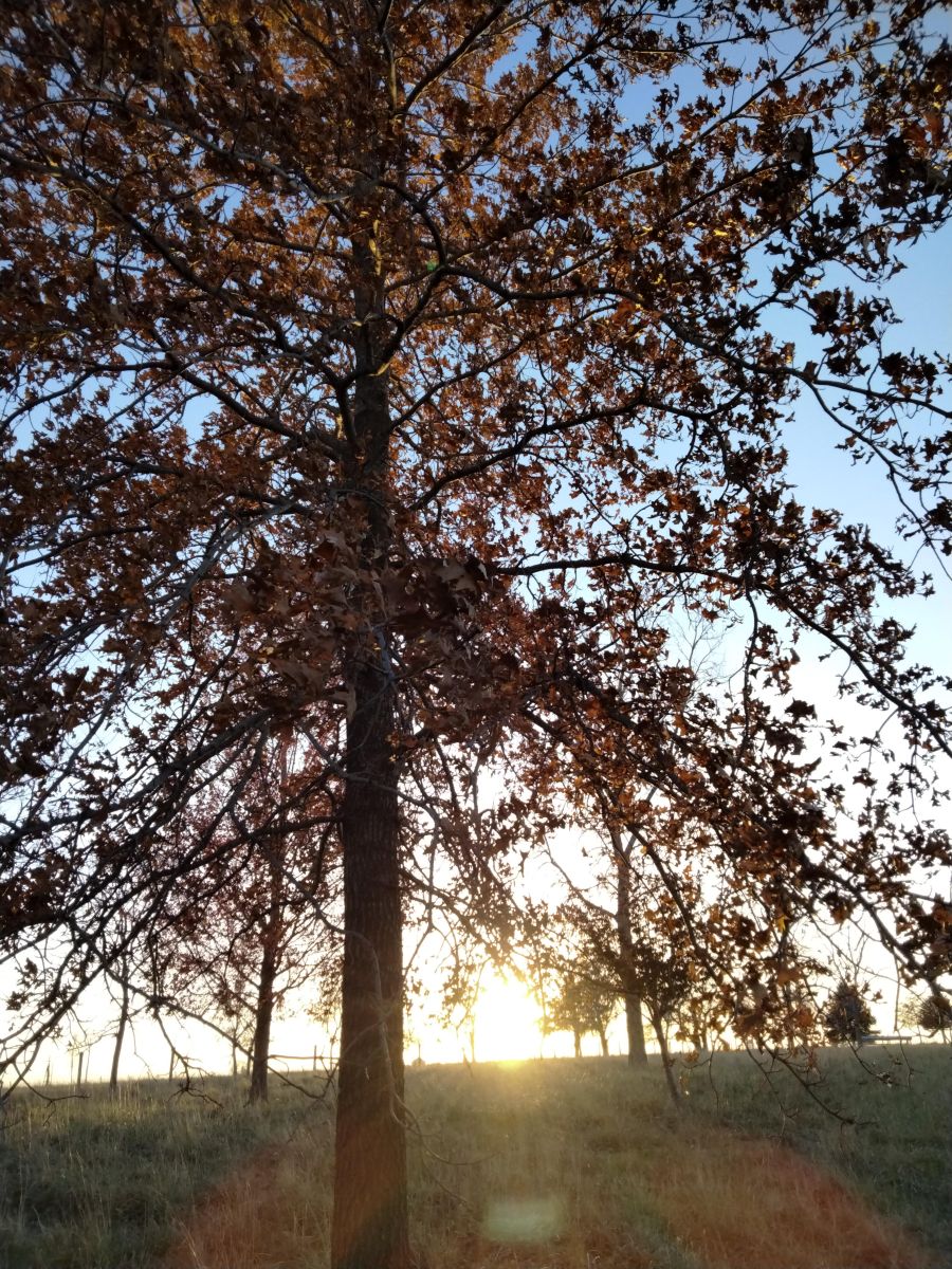 Weather Photos in Parnell. Weather forecasts with beautiful photos by Kate72