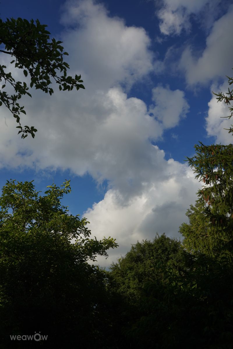 マゾフシェ県の天気写真. Bietkaの美しい写真による天気予報