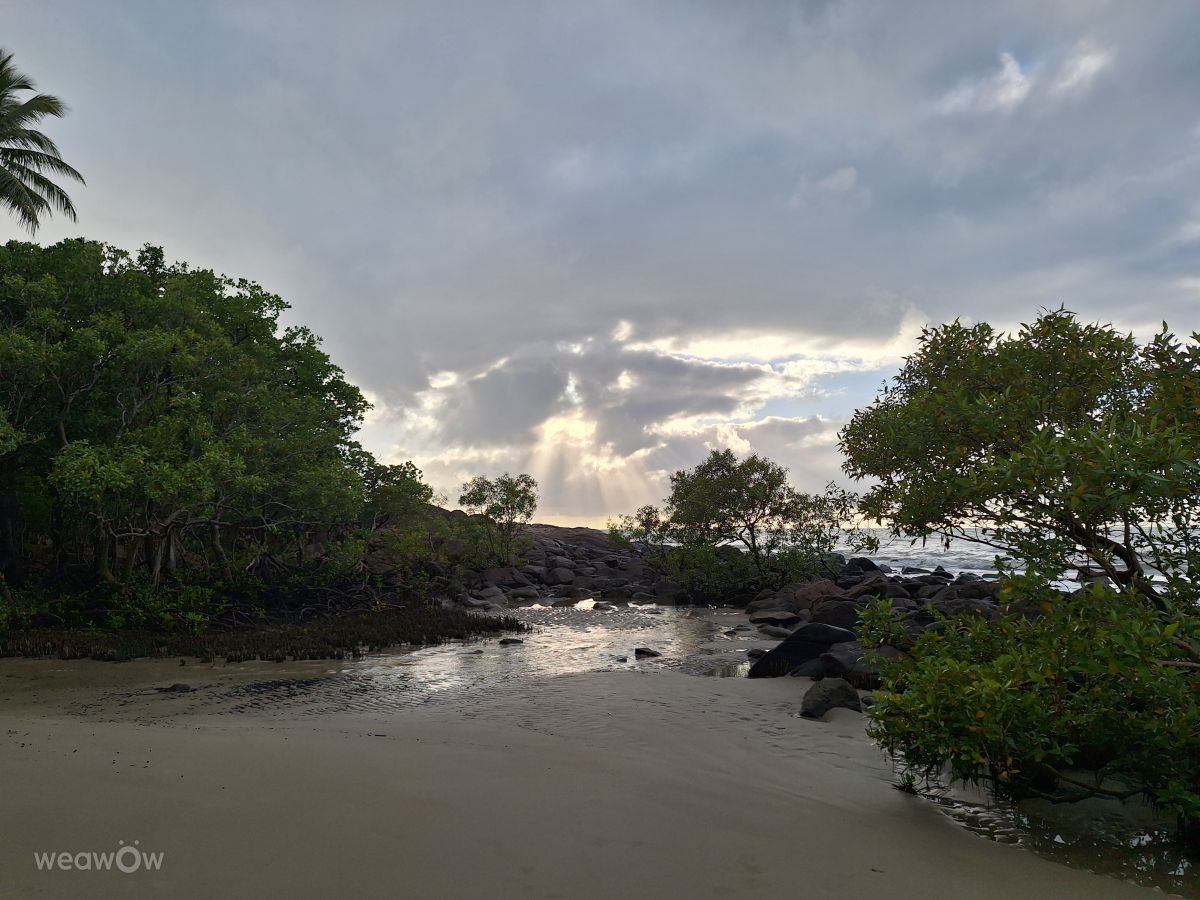 Weather Photos in Port Douglas. Weather forecasts with beautiful photos by bats