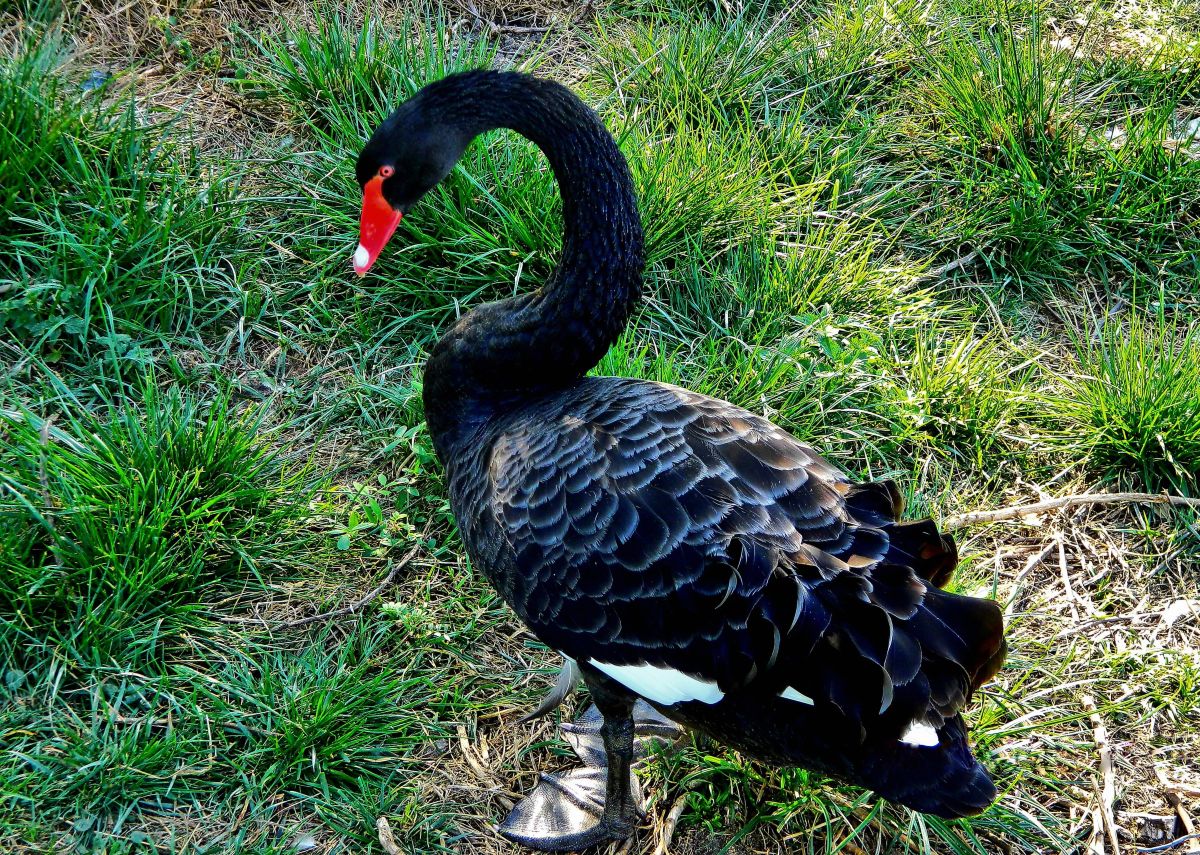 Pronósticos del tiempo con hermosas fotos de ConstantinR