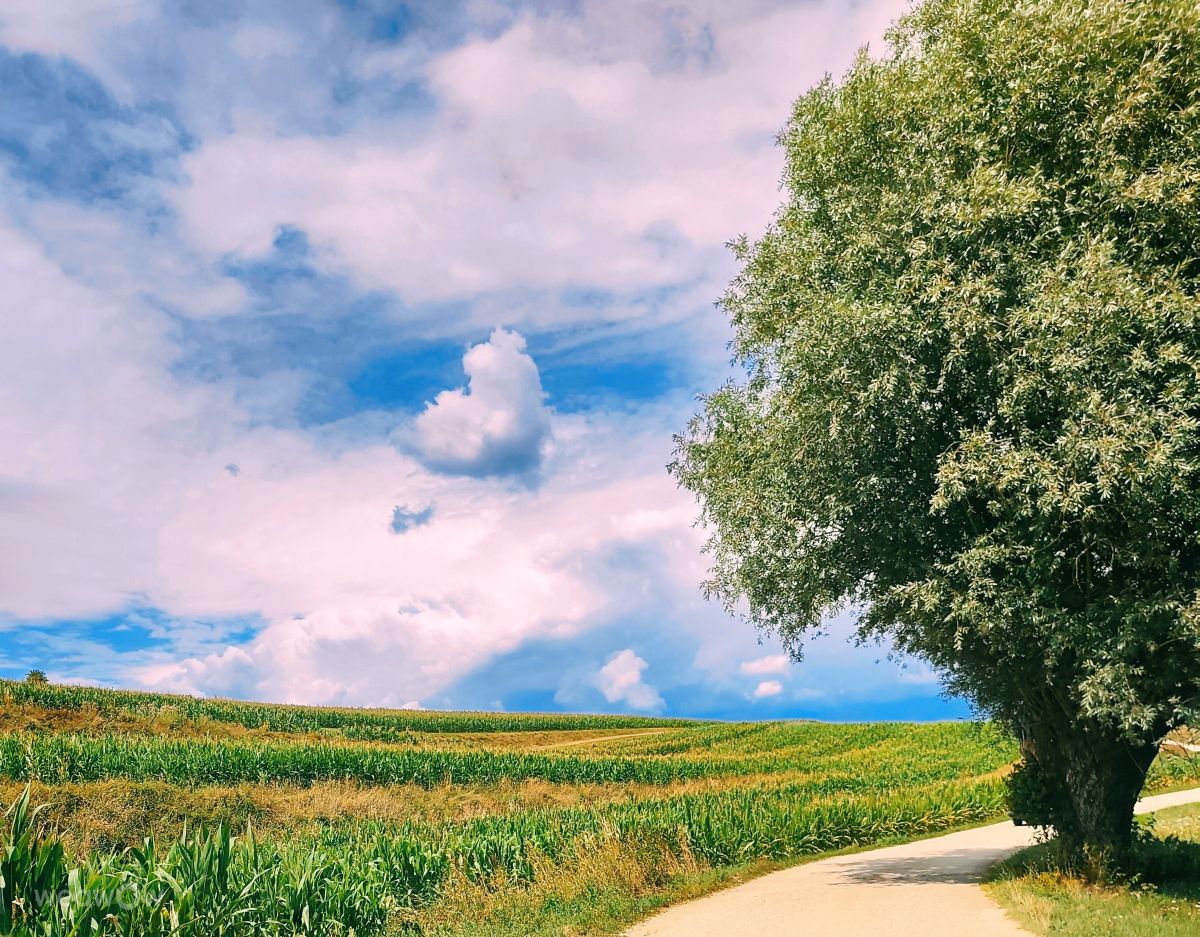 Weather forecasts with beautiful photos by Anamarija