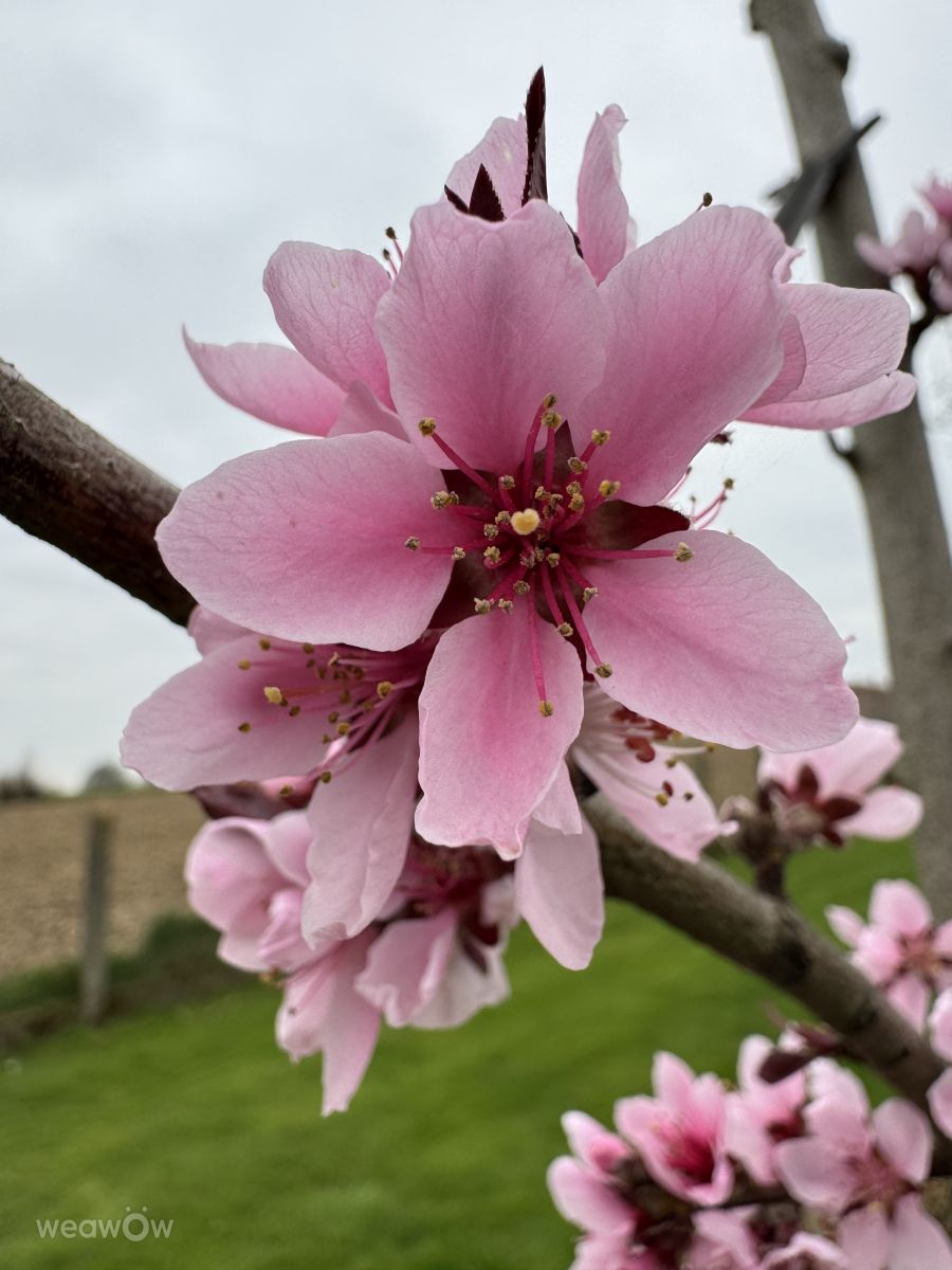 Photographer Oggy, Weather Photos in Kester - Weawow