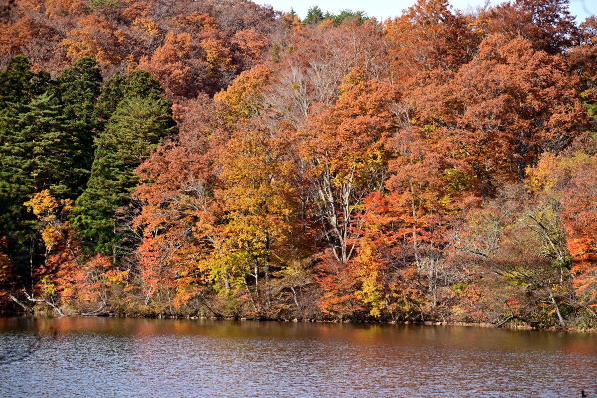 Photographer yoshy, Weather Photos in Minamiaizu - Weawow
