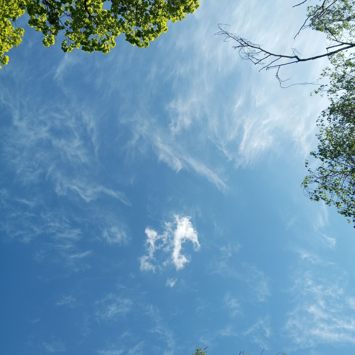 摄影师 Olena-13，Чернигов的天气照片 - Weawow