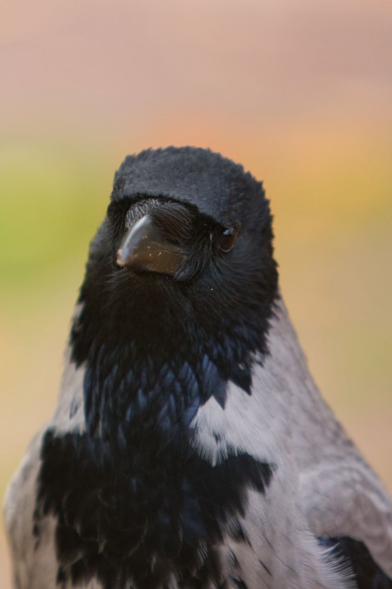 Photograph martinm611, Wetter Photos Danzig - Weawow