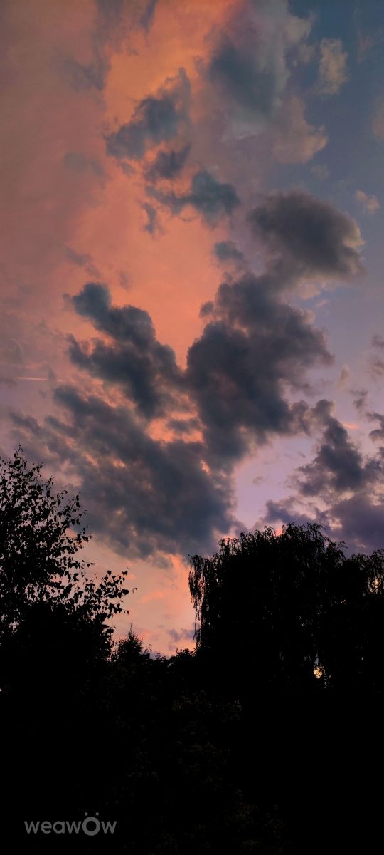 Photographe AlaGibki, Photos météo à Vratislavie - Weawow