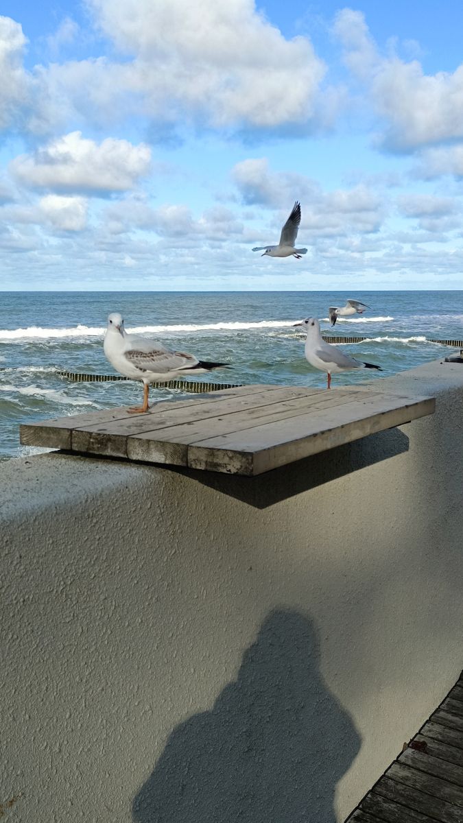 Weather Photos in Kaliningrad Oblast. Weather forecasts with beautiful photos by Михаил Бондаренко