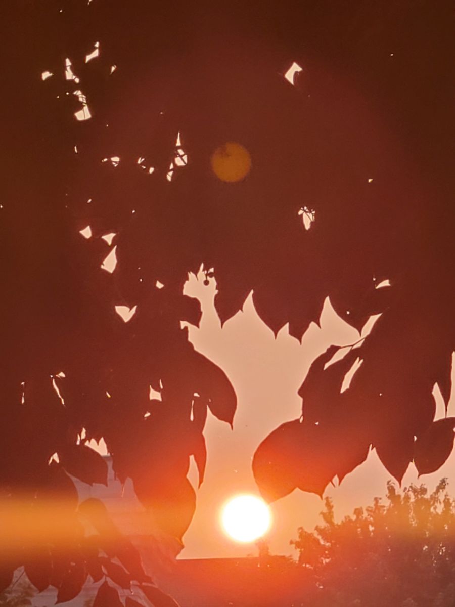 Weather Photos in Canada. Weather forecasts with beautiful photos by also-and-also