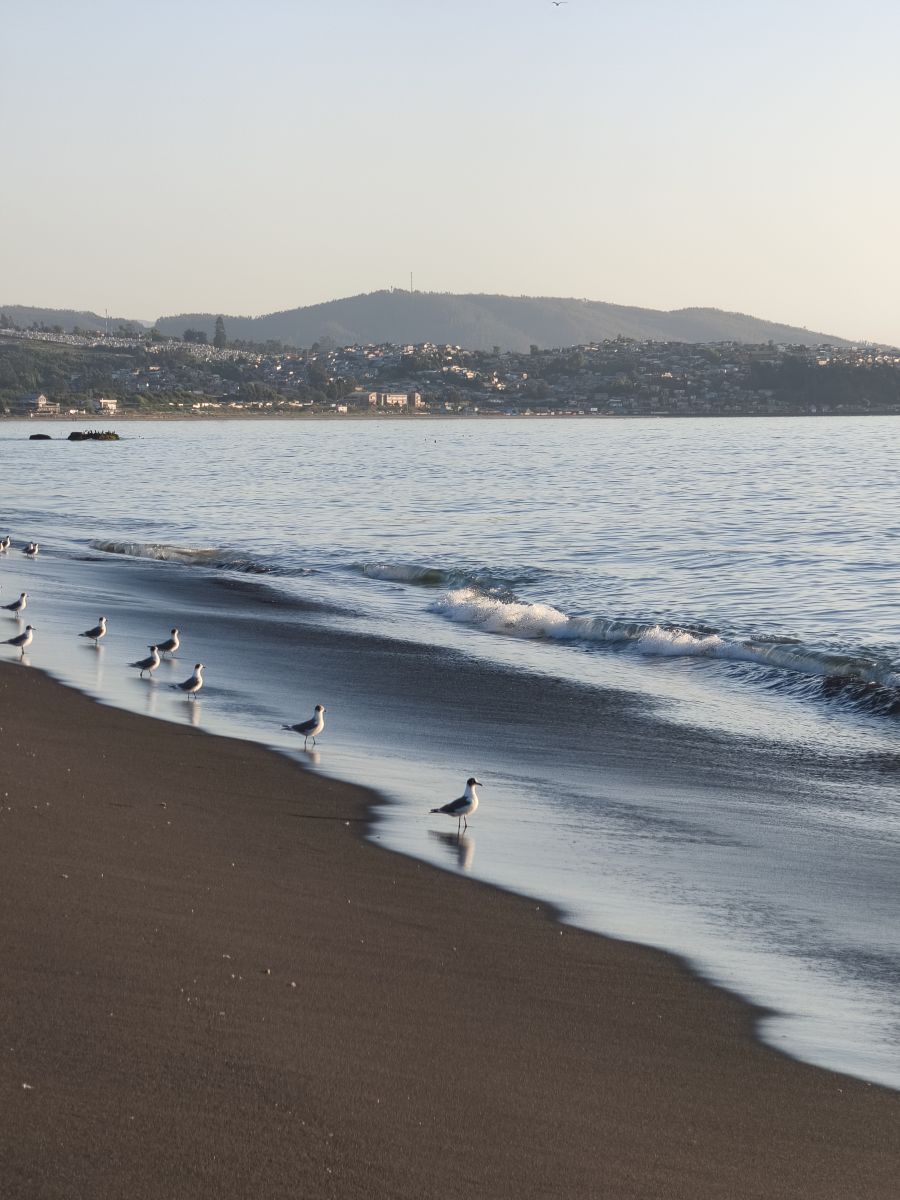 天气预报，带MarioMartínezB精美的照片