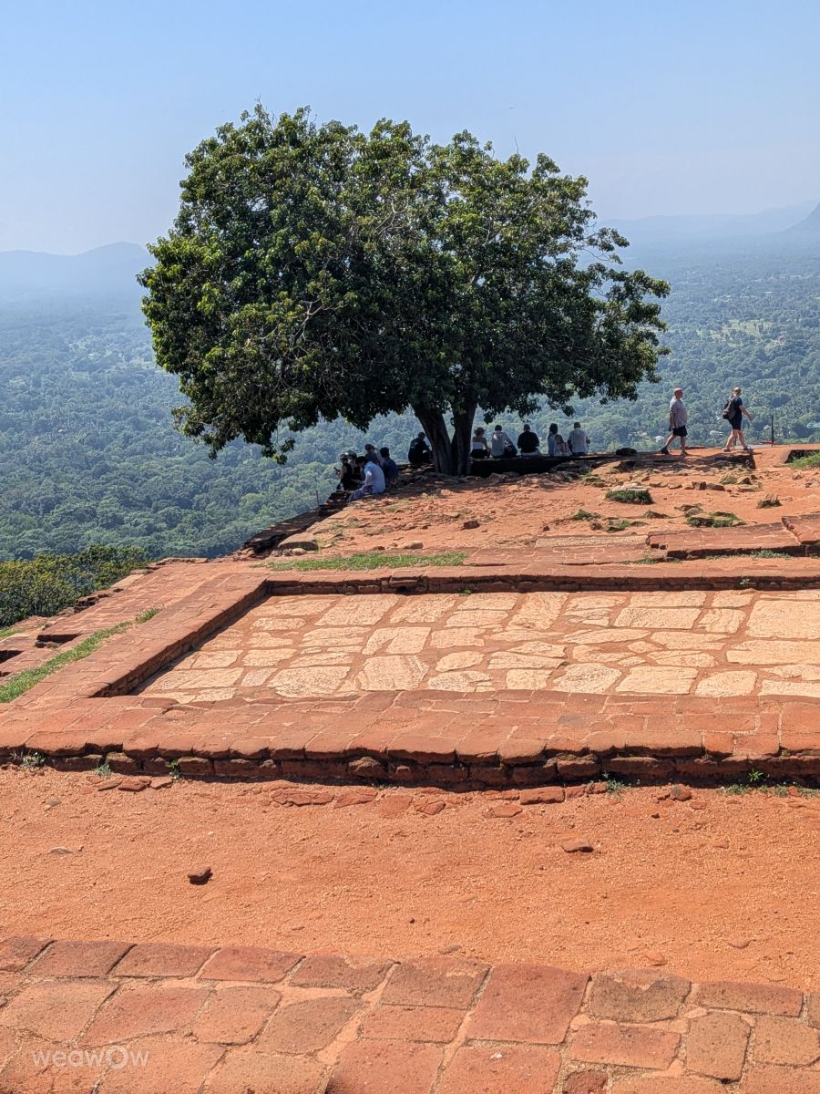 Weather forecasts with beautiful photos by lunatibi
