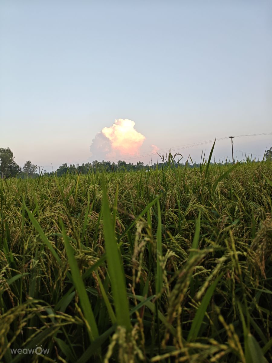 Weather Photos in Bangladesh. Weather forecasts with beautiful photos by mdshakil