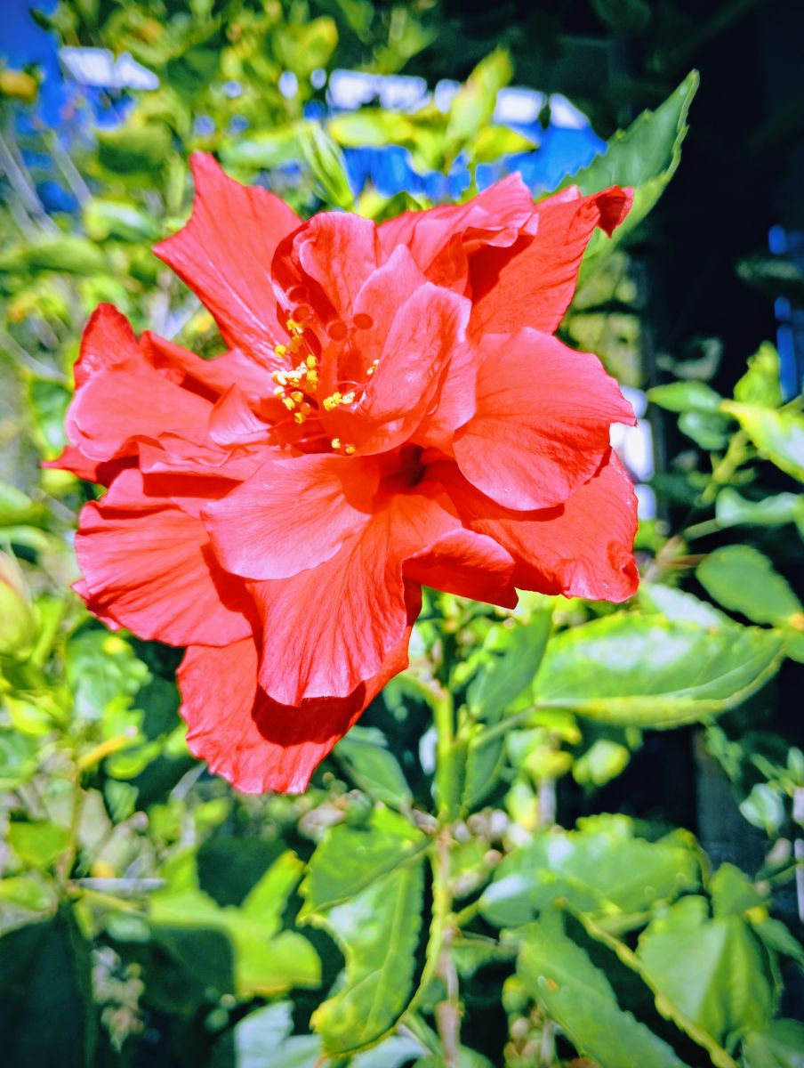 佛罗里达州的天气照片. 天气预报，带Christinam01精美的照片