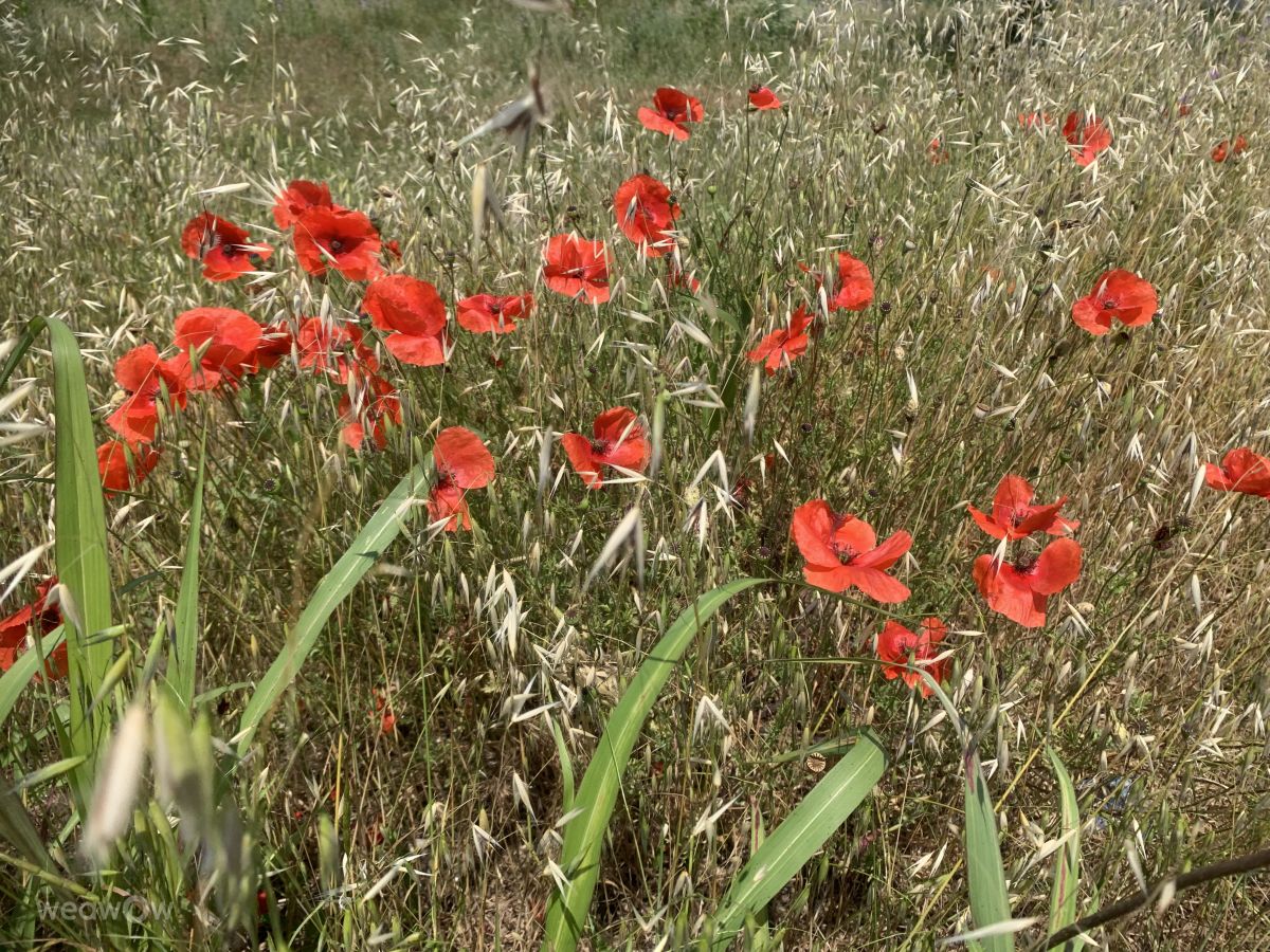 Фотографии Погоды в Поморие. Прогнозы погоды с чудесными фотографиями, сделанными Bilyana