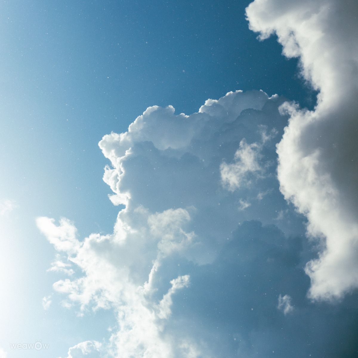 Fotos sobre el clima en Batum. Pronósticos del tiempo con hermosas fotos de dabaevd