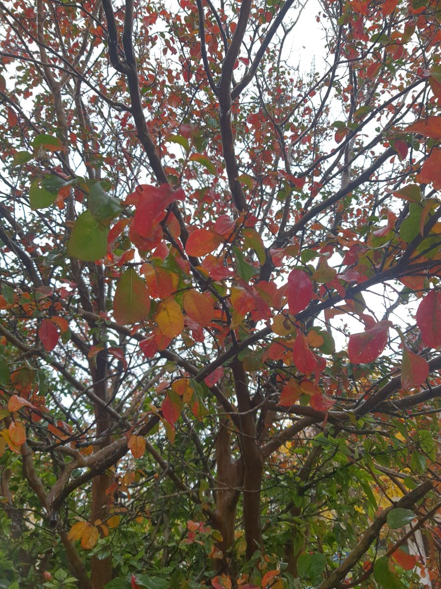 Weather Photos in أورجواي. Weather forecasts with beautiful photos by carmenseijasmabil79