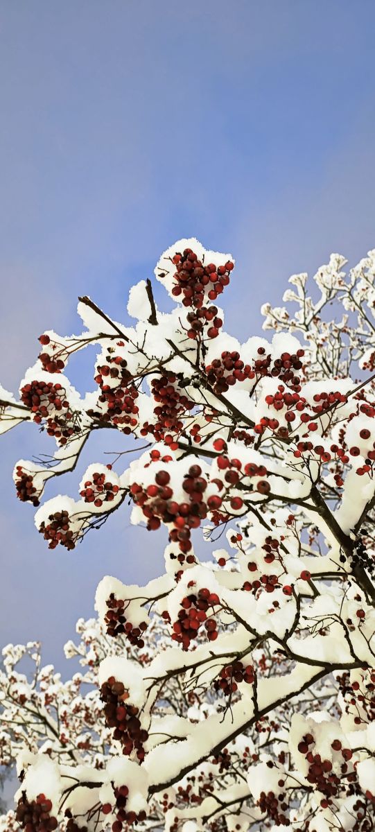 Fotos sobre el clima en Kolpino. Pronósticos del tiempo con hermosas fotos de Lena_Glukhova