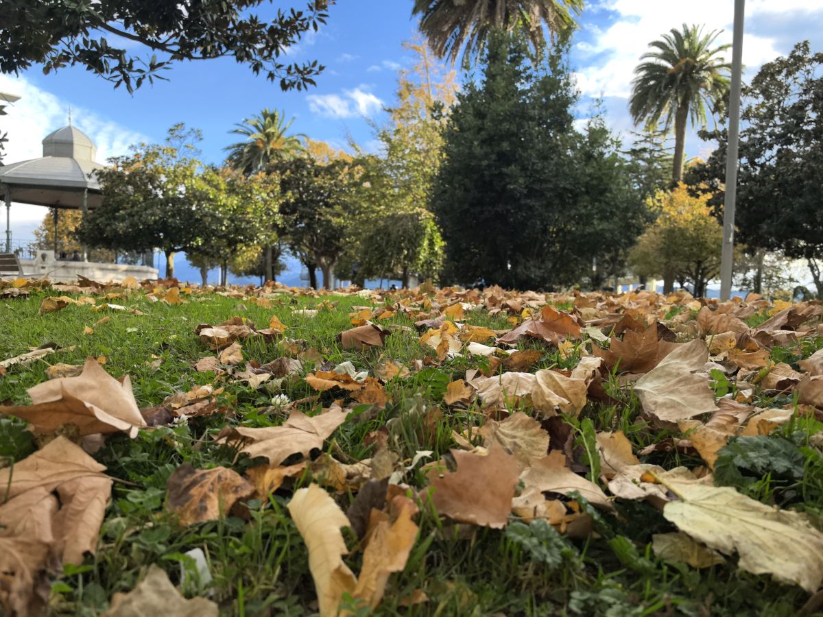 Weather Photos in Santander. Weather forecasts with beautiful photos by Lomarog