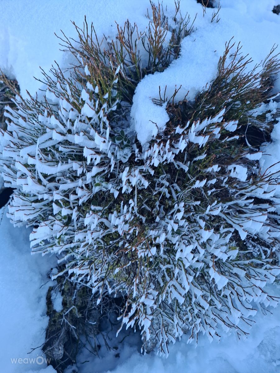 Фотографии Погоды в Strazhitsa. Прогнозы погоды с чудесными фотографиями, сделанными Galag