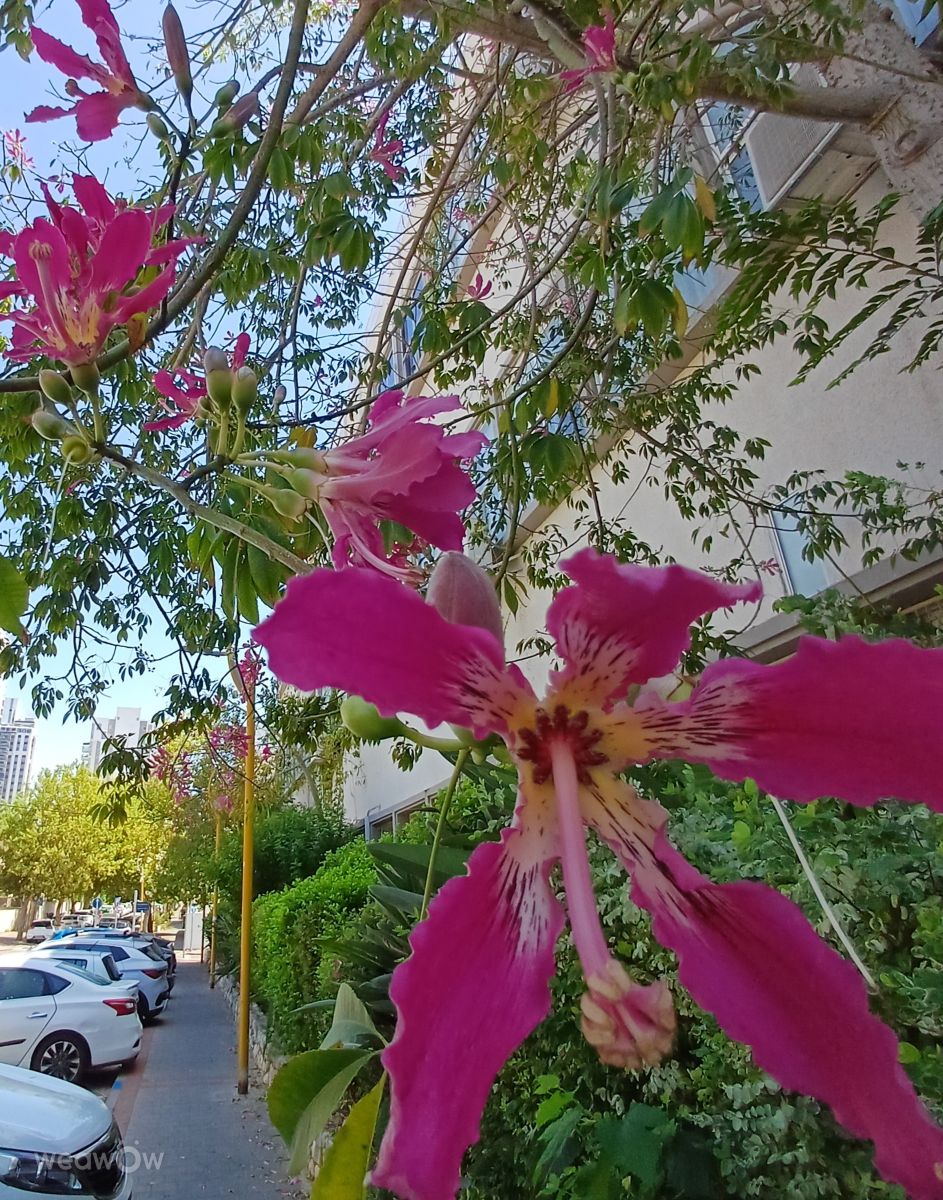 Photos météo à Holon. Prévisions météo avec de superbes photos de Zaza
