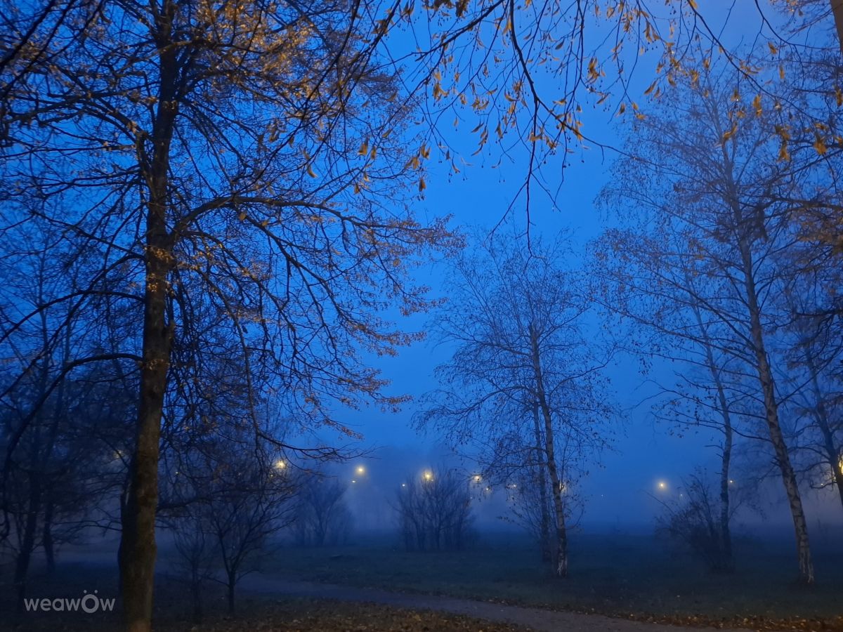 Weather forecasts with beautiful photos by Iryna