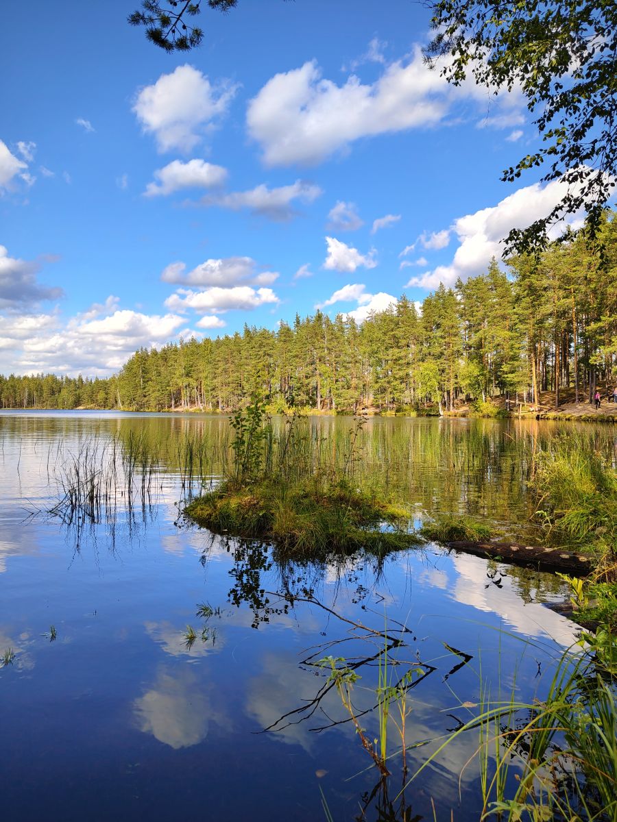 Wettervorhersagen mit schönen Fotos von elenanikolaevaspb
