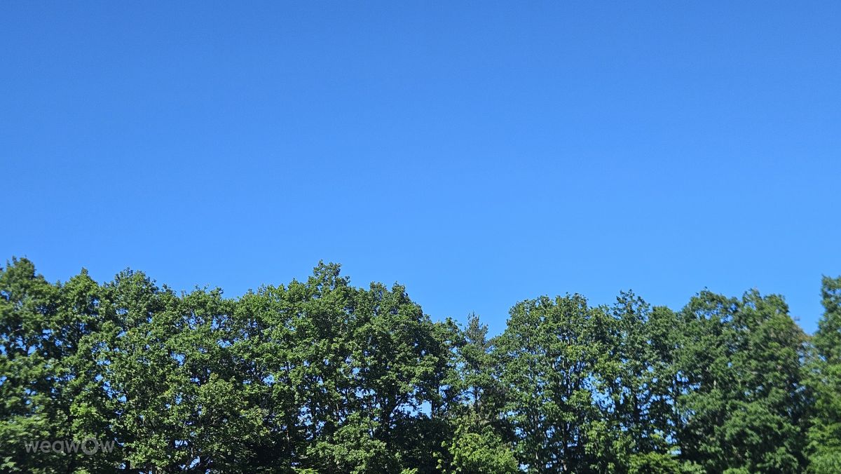 Weather Photos in Denmark. Weather forecasts with beautiful photos by Slyde