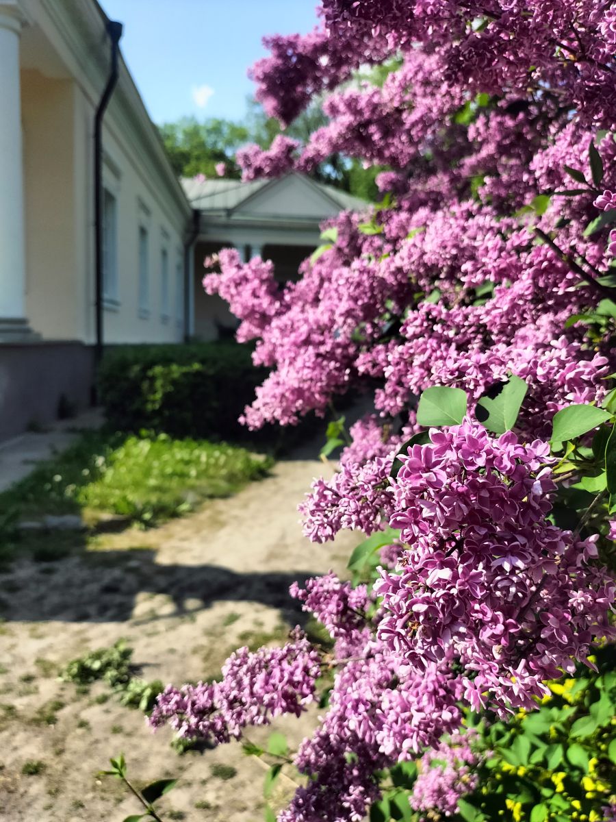 Фотографии Погоды в Белая Церковь. Прогнозы погоды с чудесными фотографиями, сделанными Chekhova