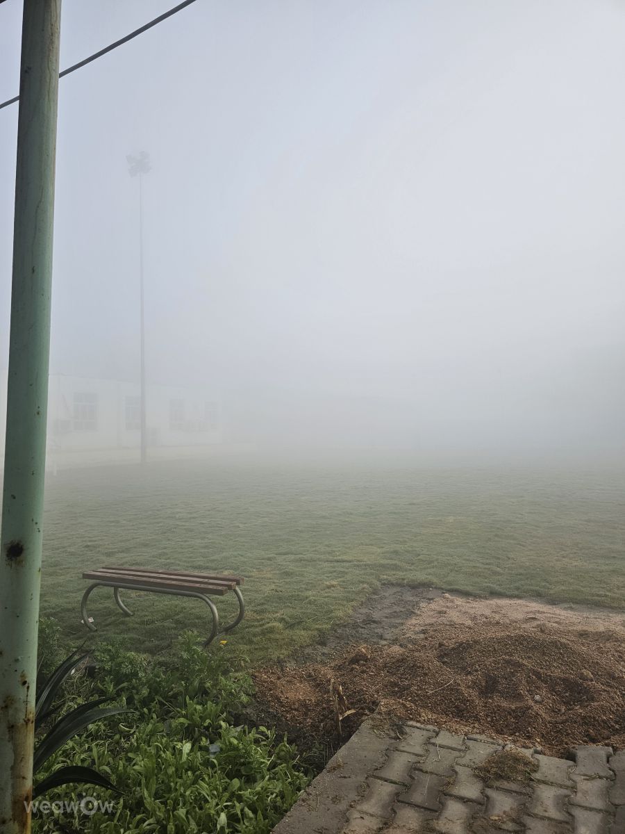 Wetter Photos Irak. Wettervorhersagen mit schönen Fotos von عطر الياسمين