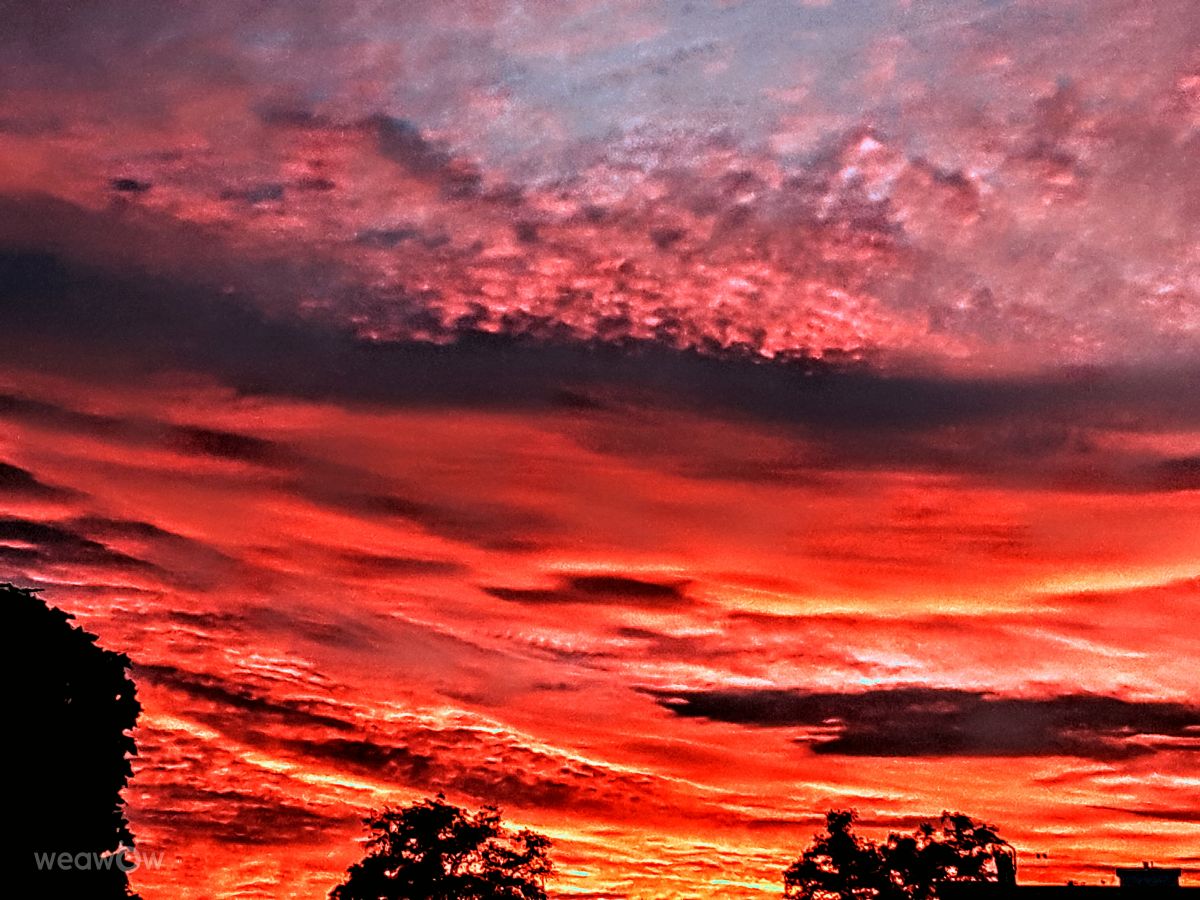 Weather Photos in Gdansk. Weather forecasts with beautiful photos by Wiesiek