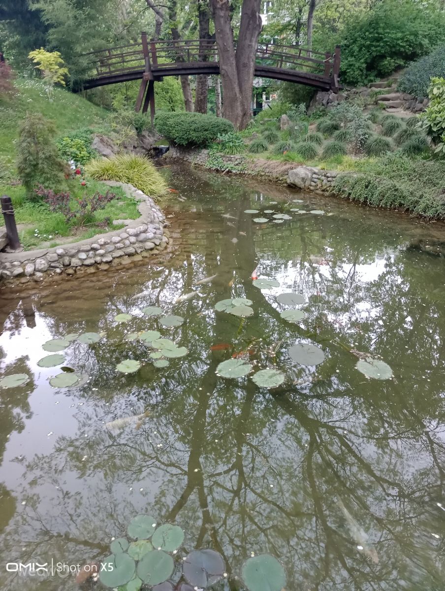 Fotos sobre el clima en Belgrado. Pronósticos del tiempo con hermosas fotos de CAMELOT