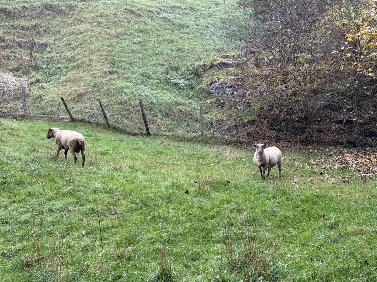 Photos météo à Sonvilier. Prévisions météo avec de superbes photos de SwissEloi