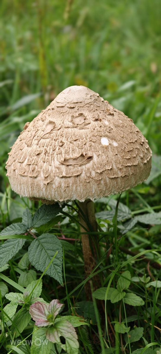 Photos météo à Bihor. Prévisions météo avec de superbes photos de MakiCami