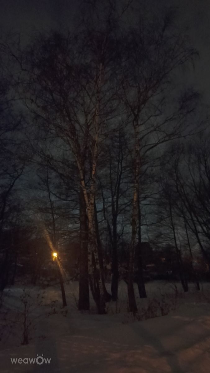 Weather Photos in Moscow Oblast. Weather forecasts with beautiful photos by Ратибор