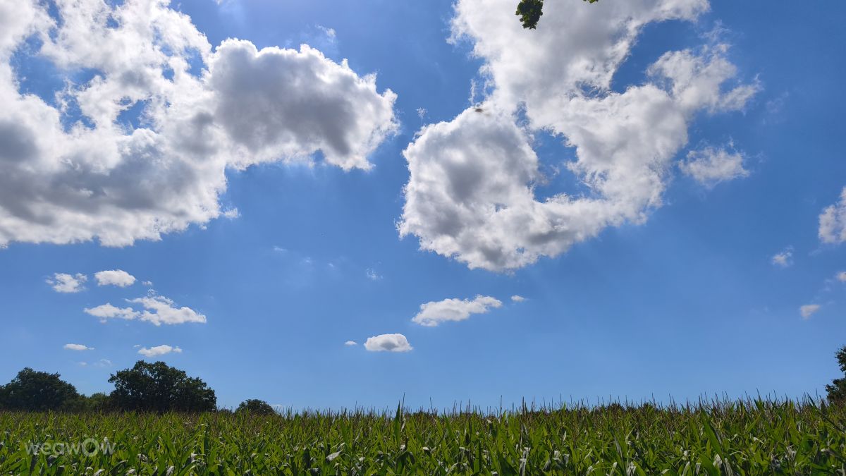 Фотографии Погоды в Нижняя Саксония. Прогнозы погоды с чудесными фотографиями, сделанными sand