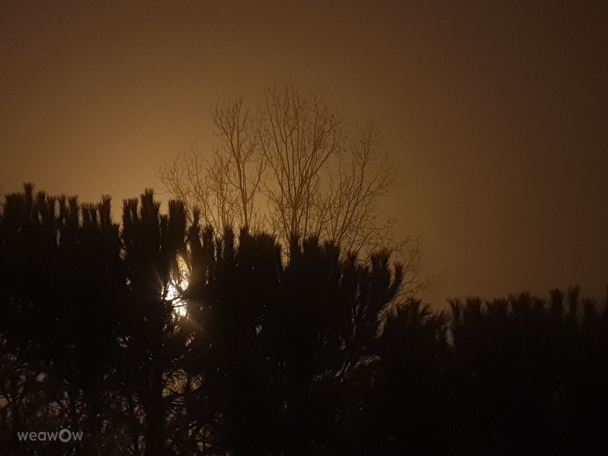 Photos météo à Liban. Prévisions météo avec de superbes photos de المعاقب لكل مدعوس