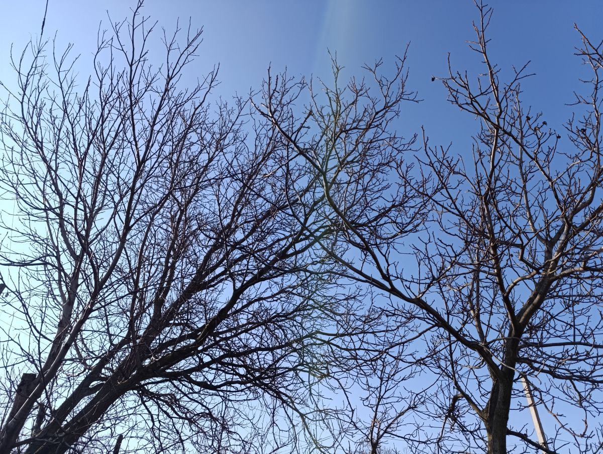 ルハーンシクの天気写真. Анжの美しい写真による天気予報