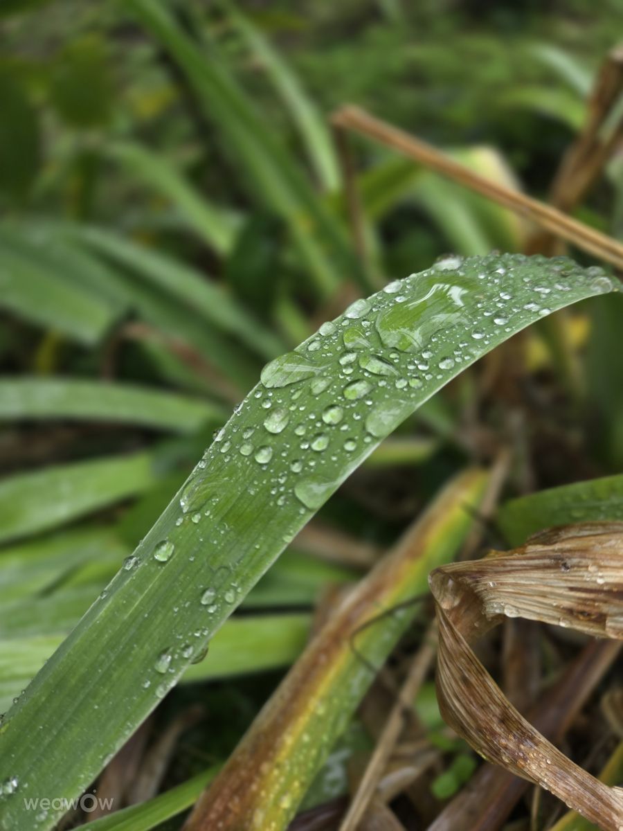 Fotos sobre el clima en Moldavia. Pronósticos del tiempo con hermosas fotos de MariaLemann