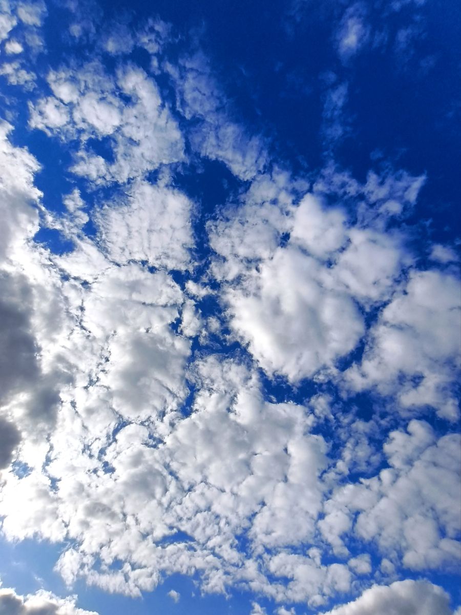 Weather Photos in Mazovia. Weather forecasts with beautiful photos by Nyuh