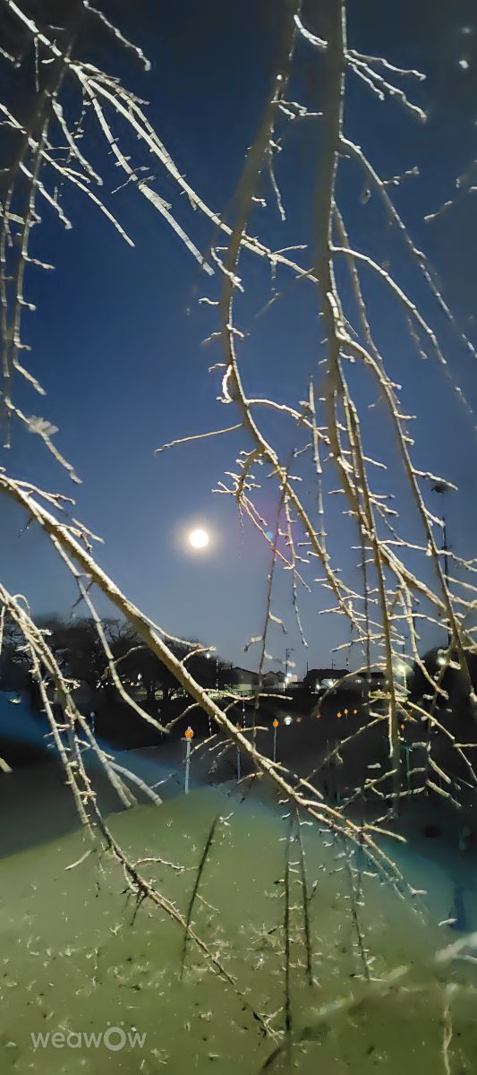 Photographer umemui, Weather Photos in Honshu - Weawow