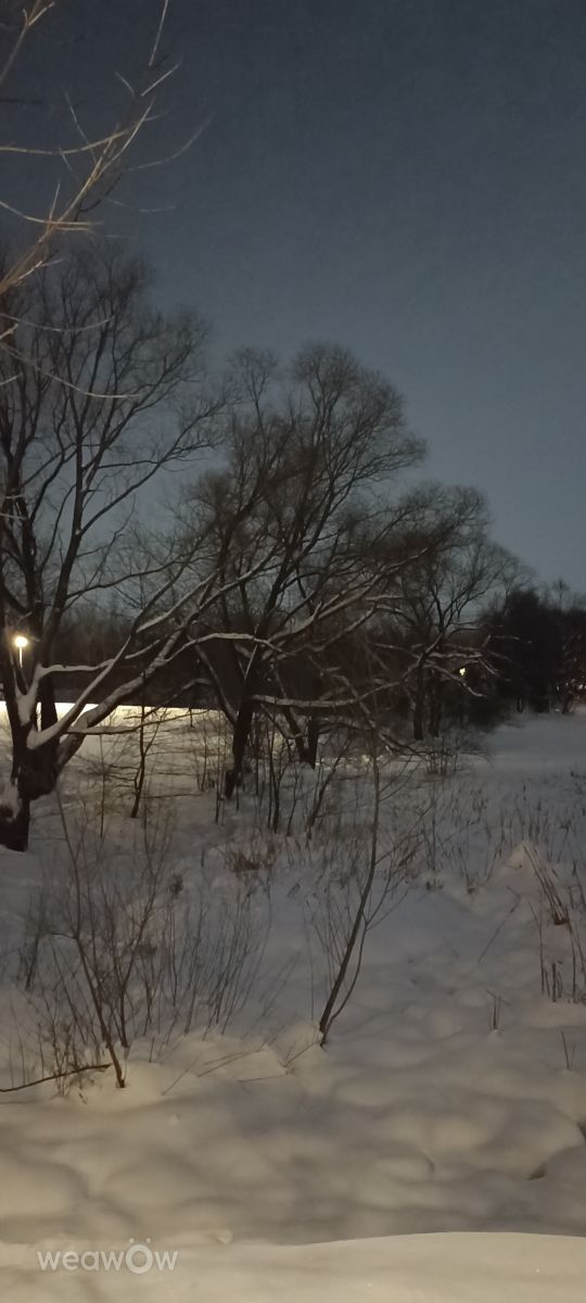 ズヴェニゴロドの天気写真. Ратиборの美しい写真による天気予報