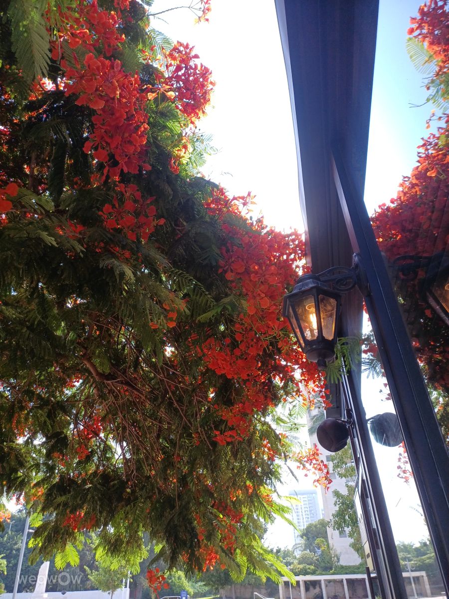 Photos météo à Holon. Prévisions météo avec de superbes photos de Zaza