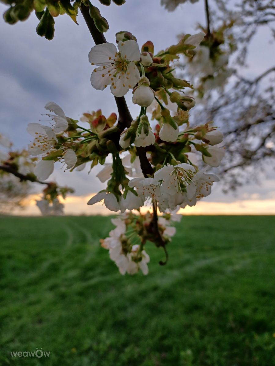 Fotos do tempo em Freiberga. Previsões do tempo com lindas fotos de Kastramania