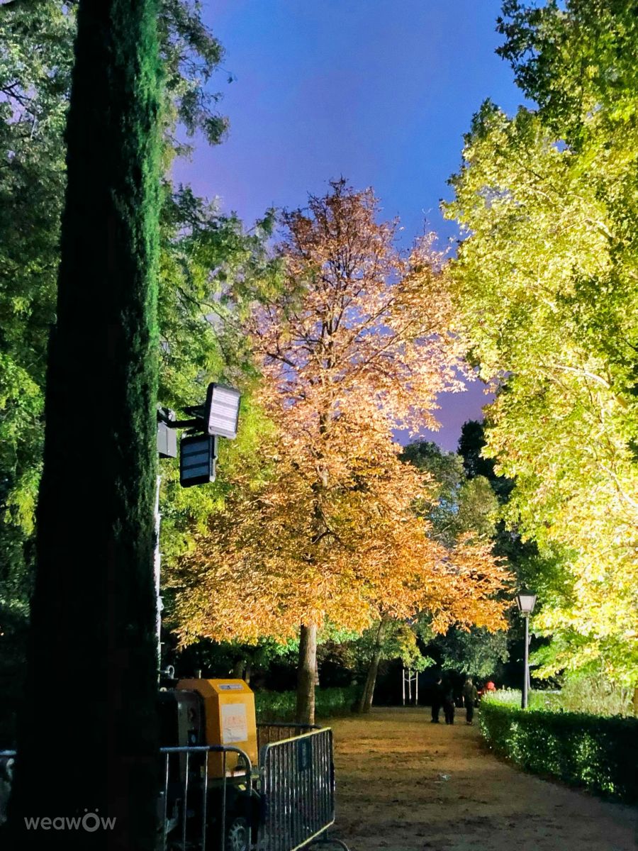 Photographer Lulu5523, Weather Photos in Madrid - Weawow