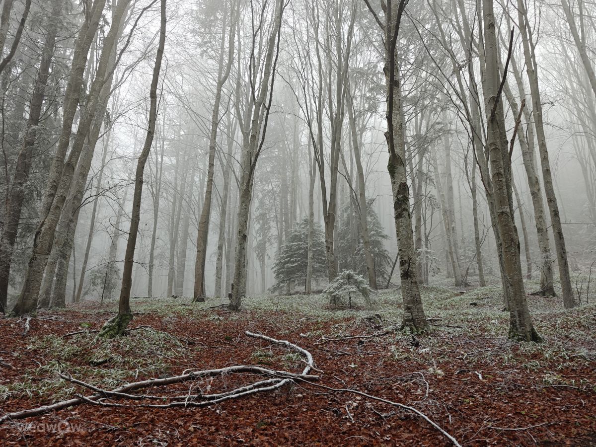 Dự báo thời tiết với những bức ảnh đẹp của Rosiii