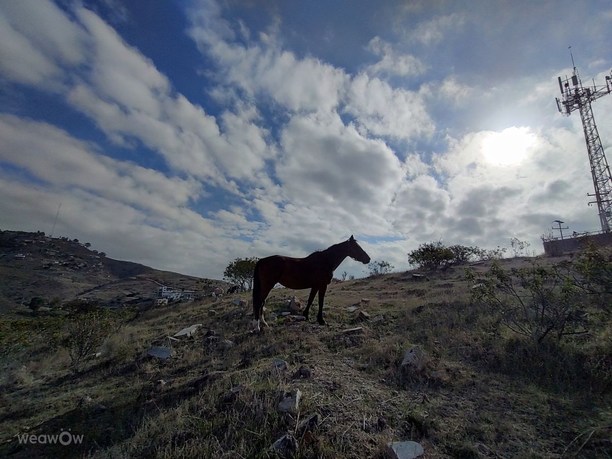 墨西哥的天气照片. 天气预报，带Roberto Goode精美的照片