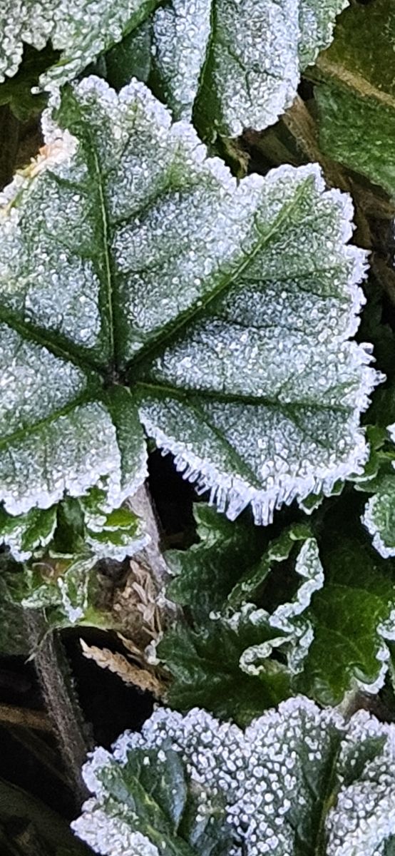 美国的天气照片. 天气预报，带Powerstroke73精美的照片