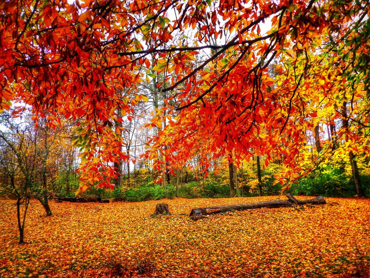 Photos météo à Greenfield. Prévisions météo avec de superbes photos de Traci-McD