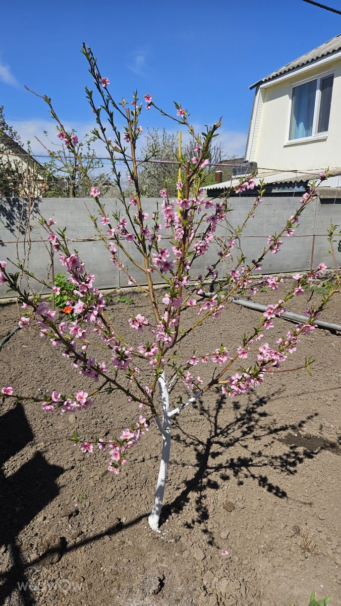 Photos météo à Cherkasy. Prévisions météo avec de superbes photos de Sergiy Rozgon