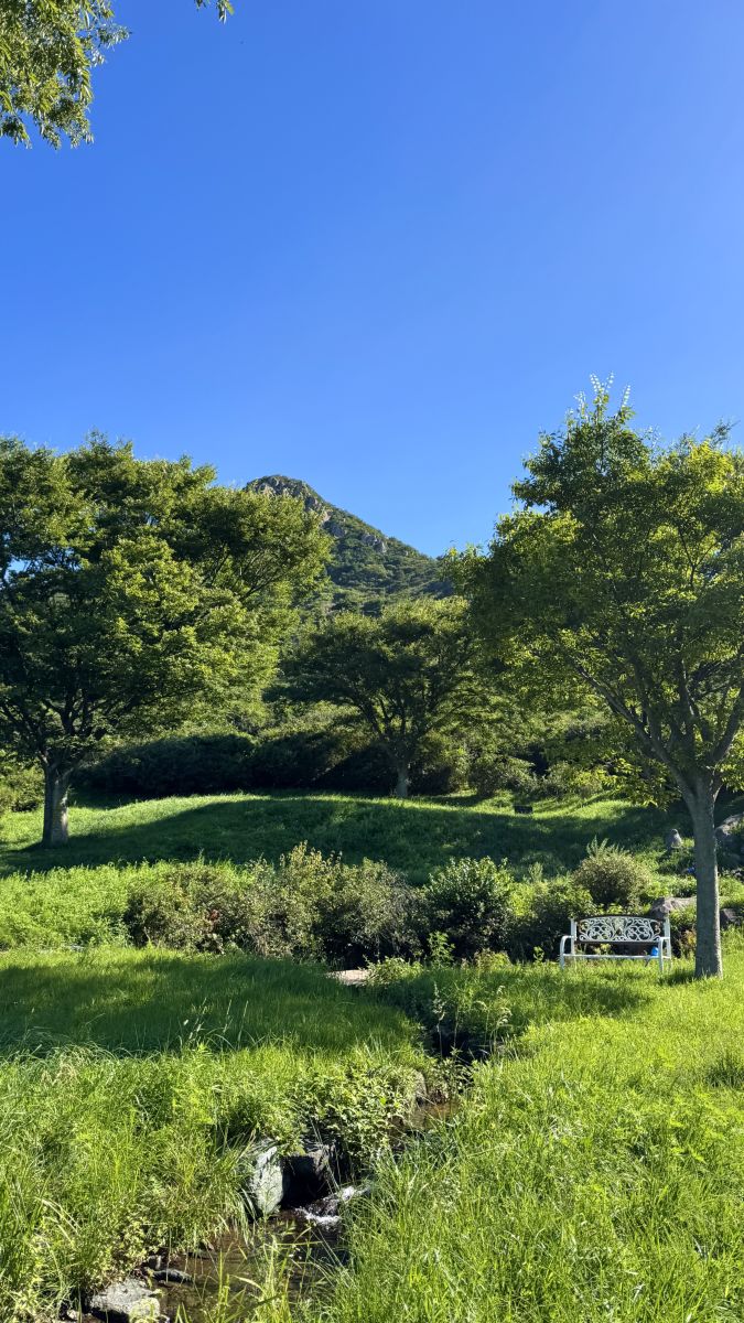 Weather Photos in South Korea. Weather forecasts with beautiful photos by sojeong