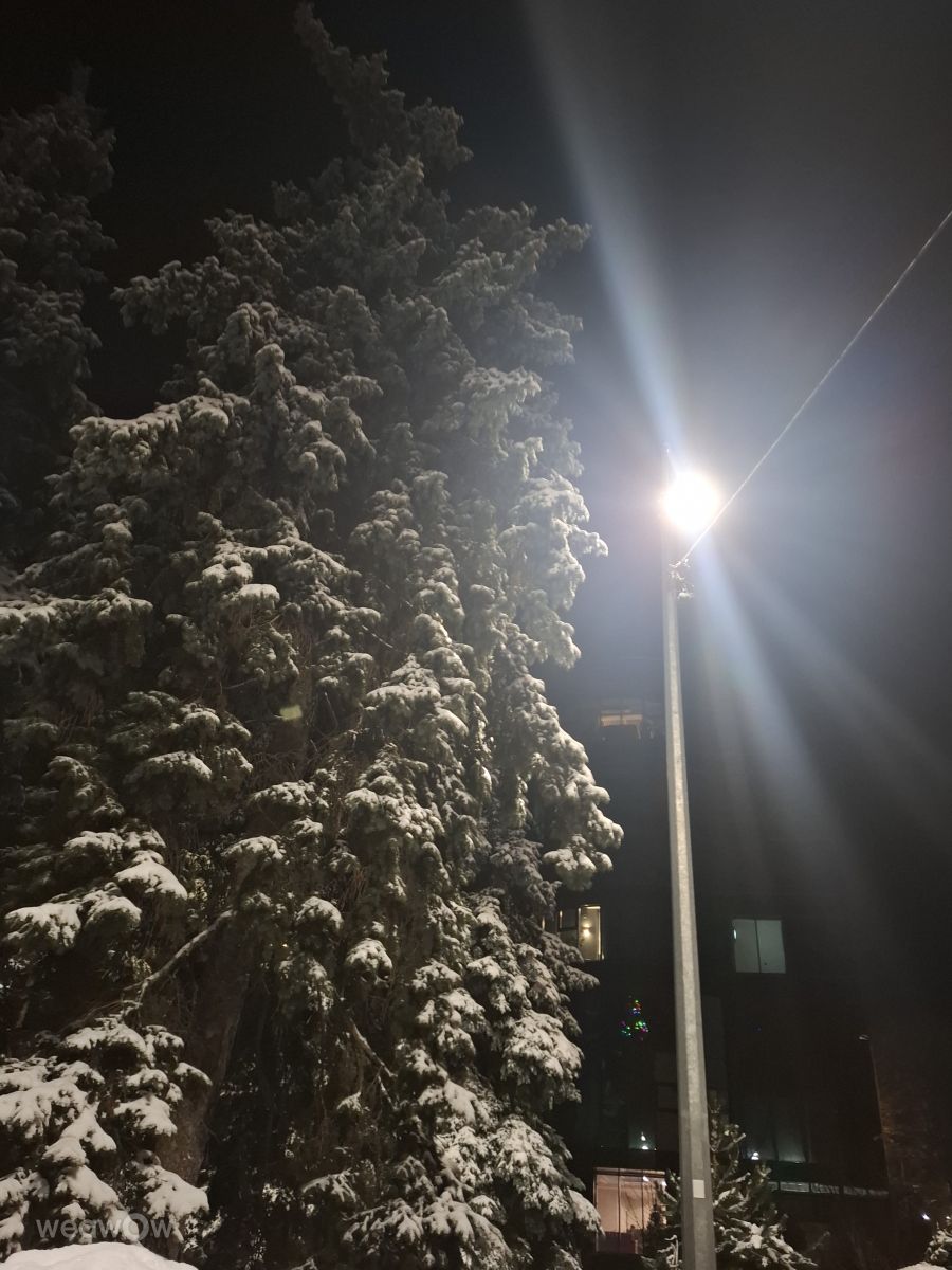 Photographer Iryna, Weather Photos in Kharkiv - Weawow